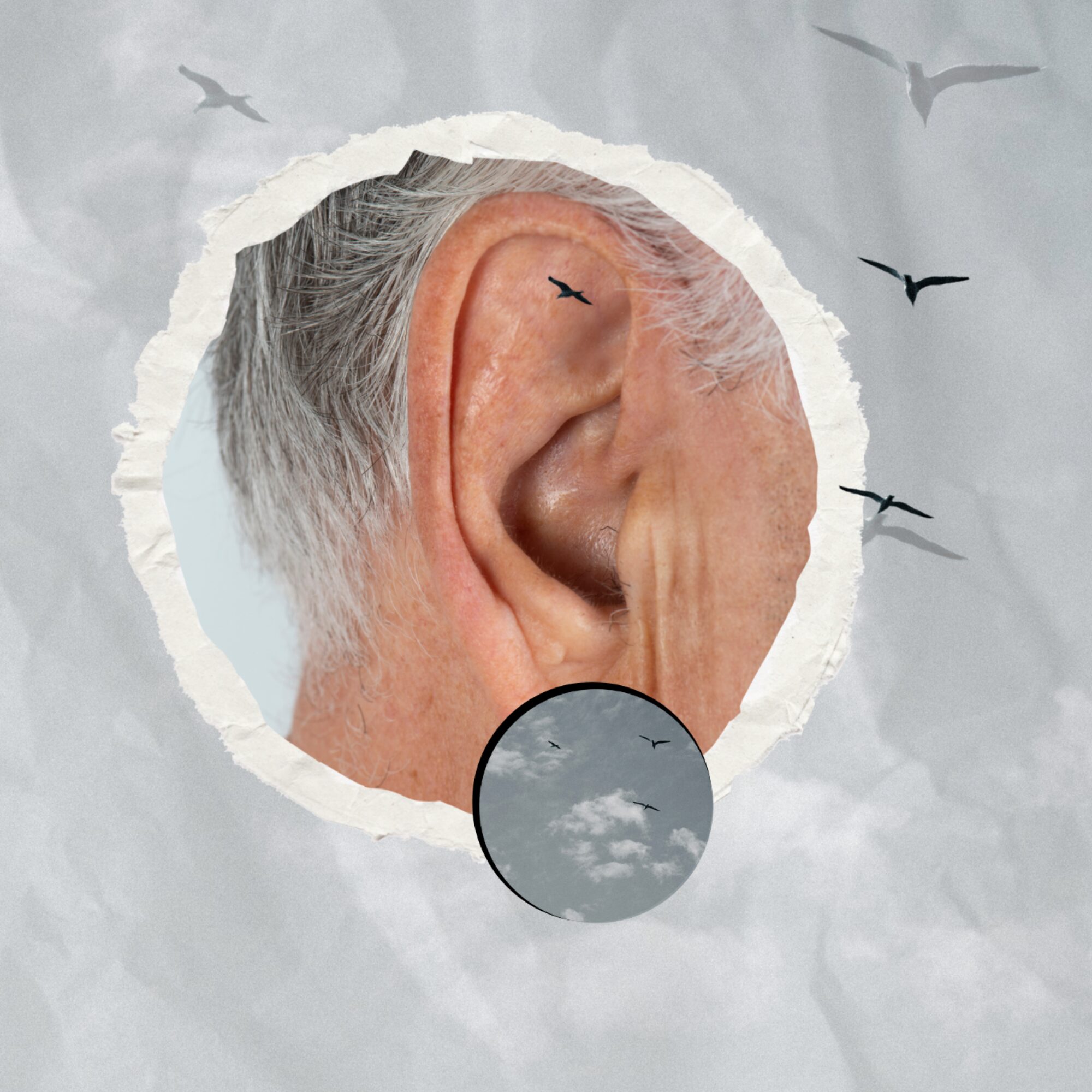 travel(r)ing kõrvarõngad - PÄRNU, look up the sky