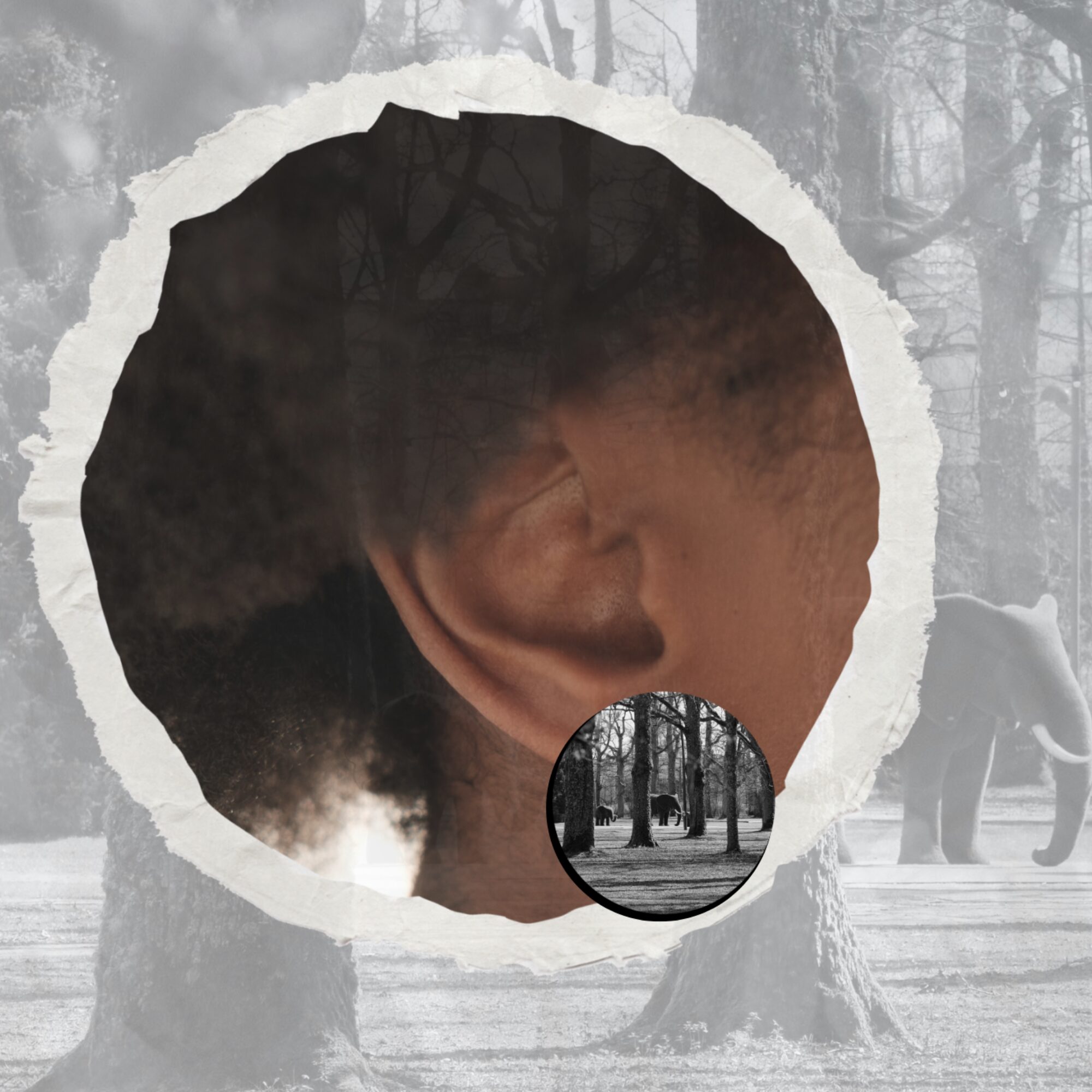 travel(r)ing kõrvarõngad - PÄRNU, local safari experience - Image 4