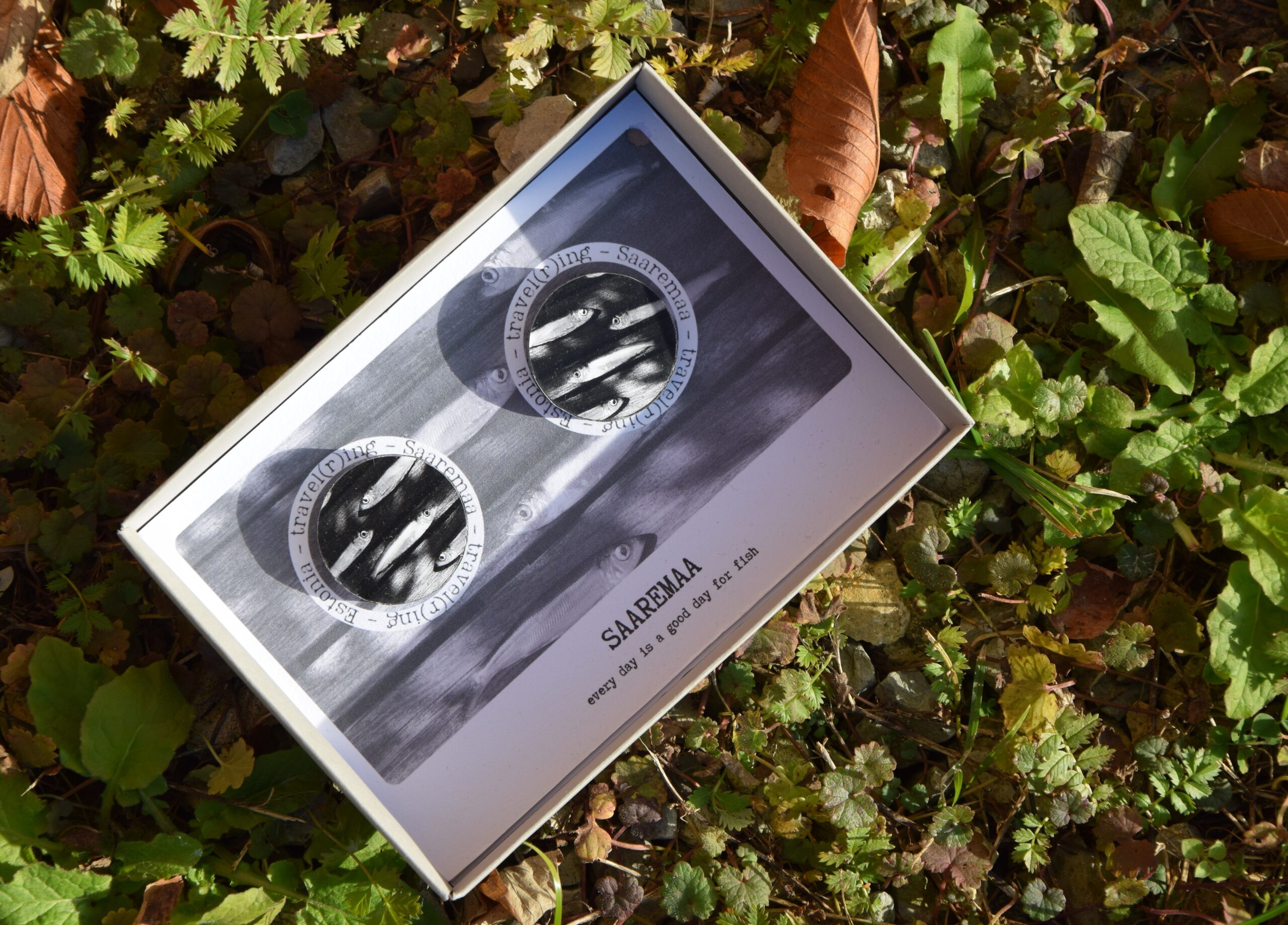 travel(r)ing kõrvarõngad – SAAREMAA, every day is good for fish - Image 2