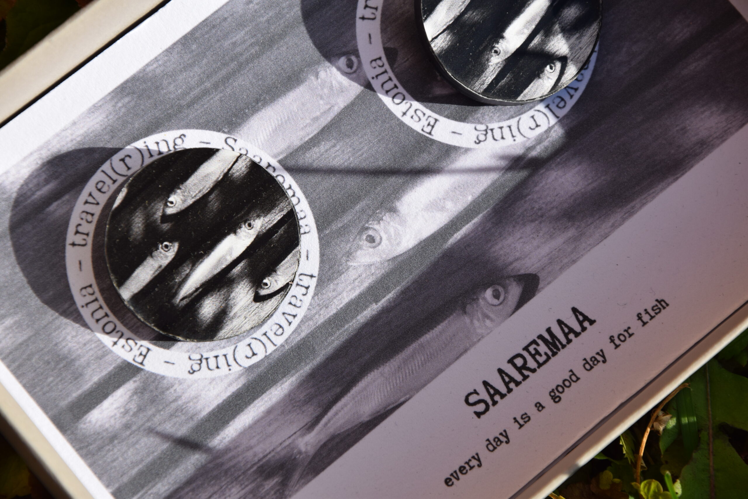 travel(r)ing kõrvarõngad – SAAREMAA, every day is good for fish - Image 3