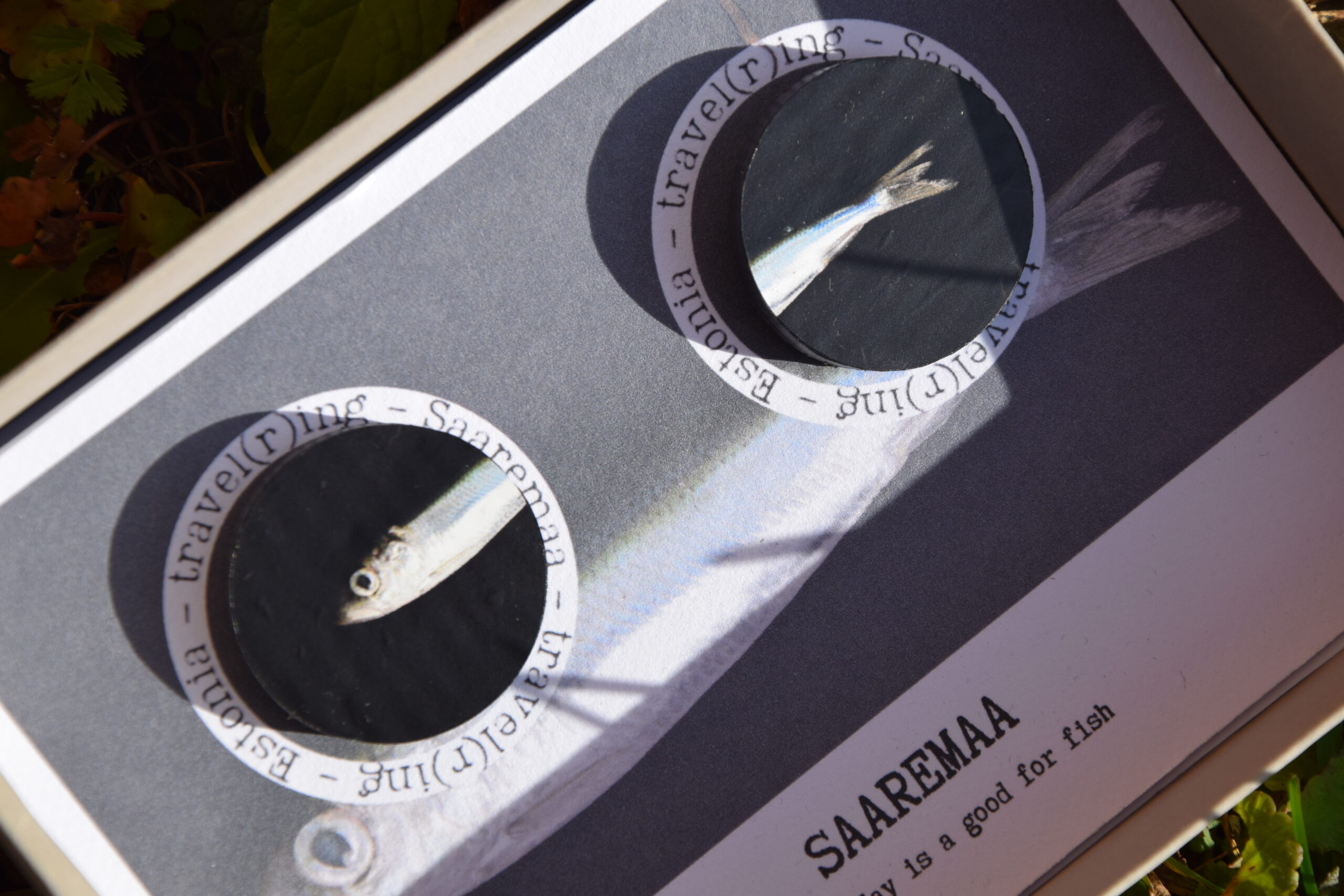travel(r)ing kõrvarõngad – SAAREMAA, every day is good for fish - Image 2