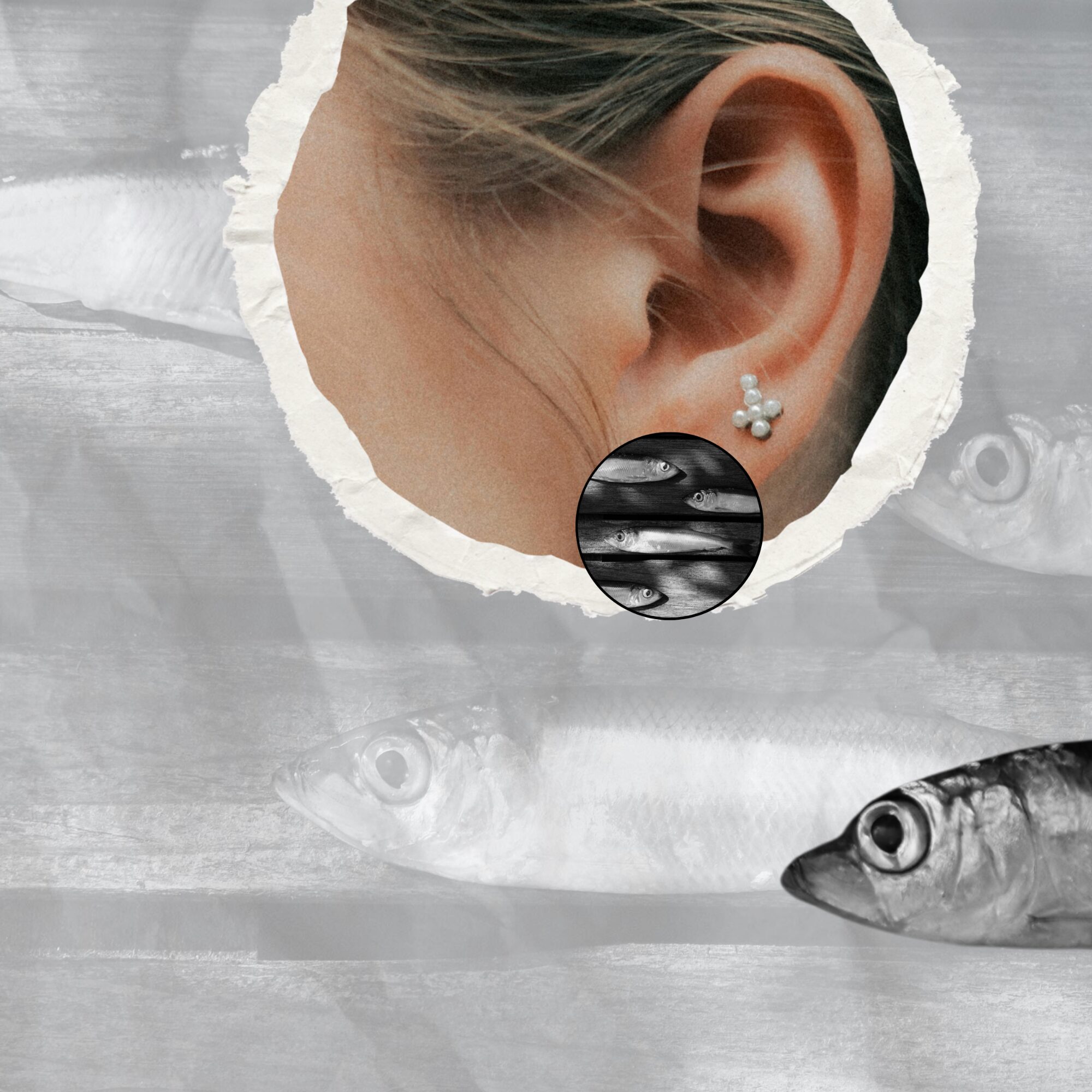 travel(r)ing kõrvarõngad – SAAREMAA, every day is good for fish