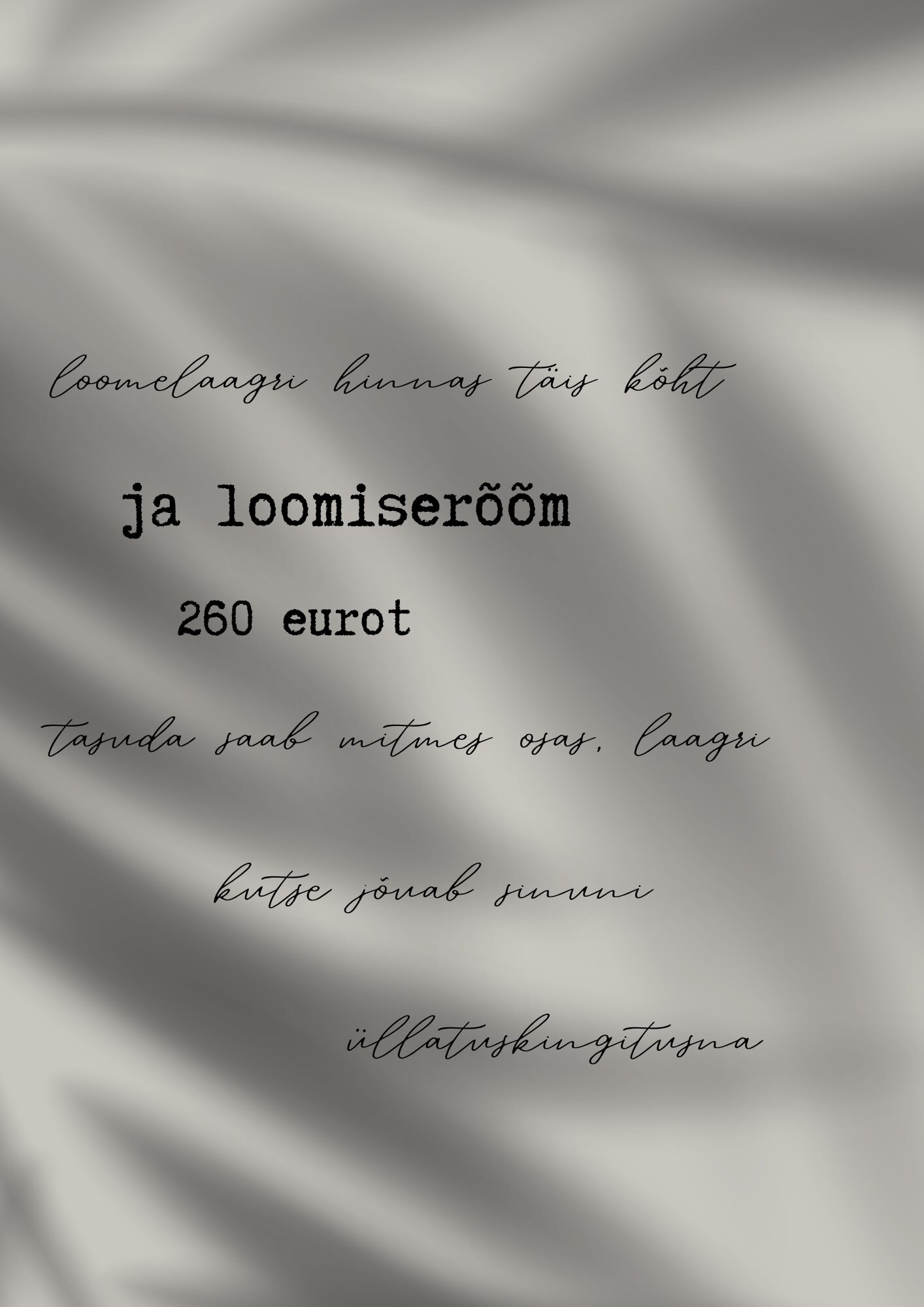 Valguse ja Varju loomelaager naistele Pihla Inspiratsioonitalus - Image 5