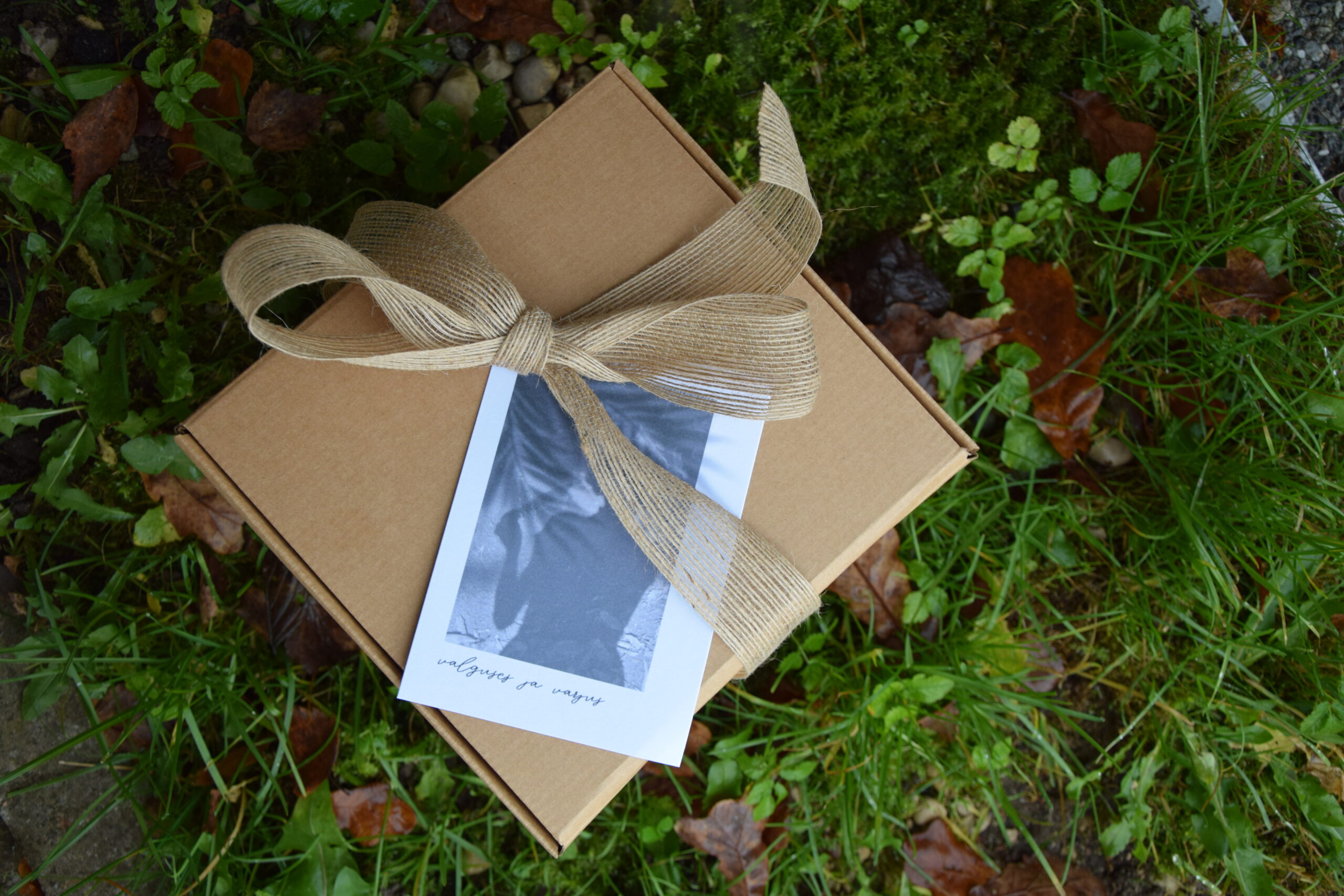 Valguse ja Varju loomelaager naistele Pihla Inspiratsioonitalus - Image 7